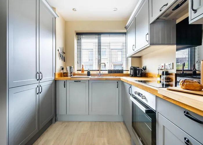 The Backyard No.2 ヨーク